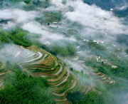元阳后天天气
